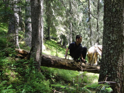 Camp éclaireurs 2013