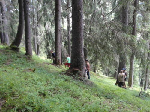 Camp éclaireurs 2013