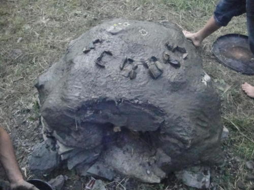 Camp éclaireurs 2013