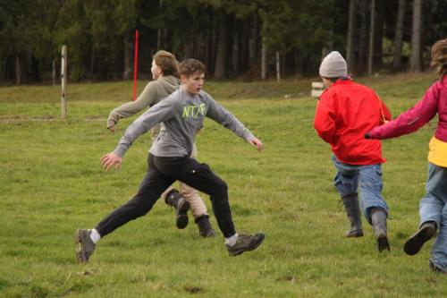 IMG 0367