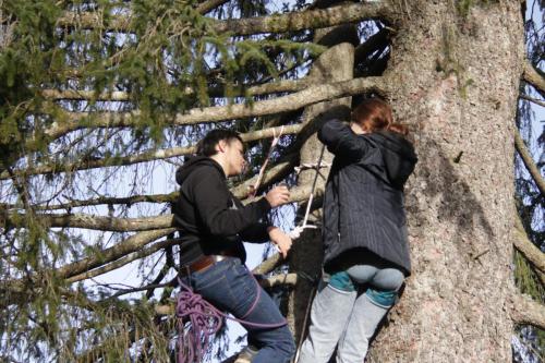 IMG 1060