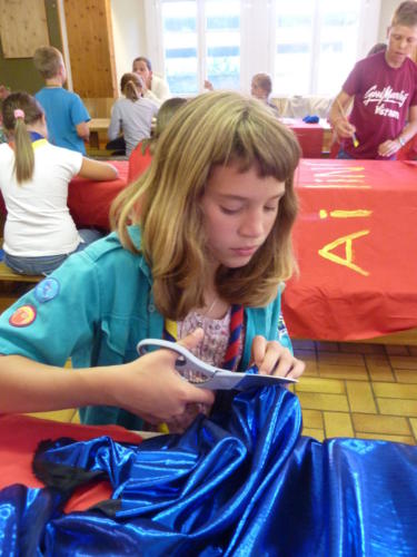 Camp louveteaux 2012