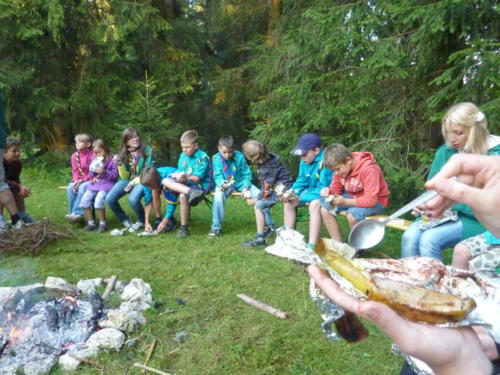 Camp louveteaux 2012
