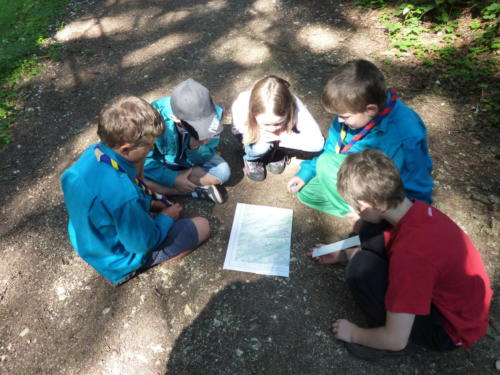 Camp louveteaux 2012