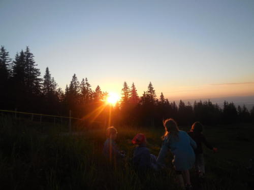 Camp louveteaux 2014