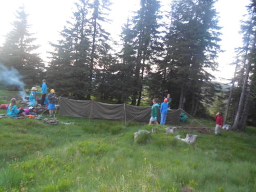 Camp louveteaux 2014