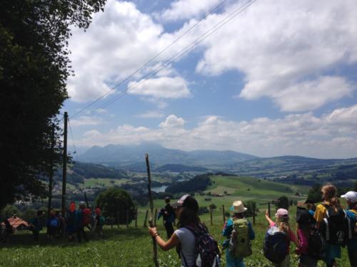 Camp louveteaux 2014