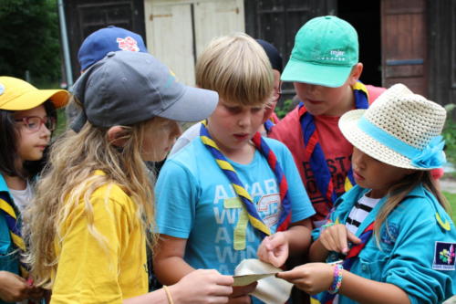 Camp louveteaux 2014