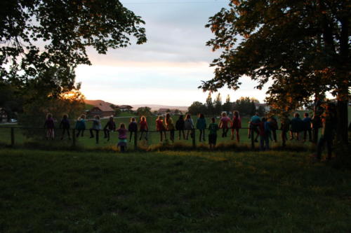 Camp louveteaux 2014