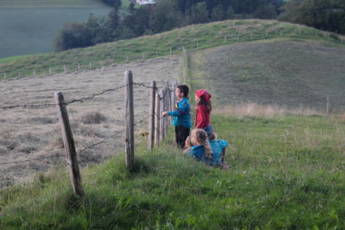 Camp louveteaux 2014