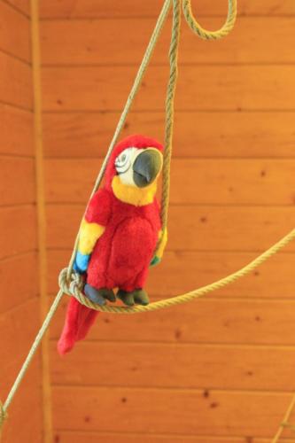 Camp louveteaux 2014