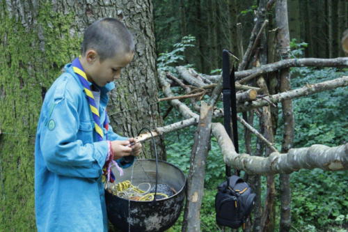 Camp louveteaux 2014