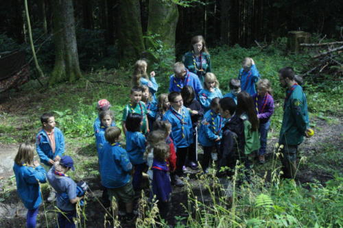 Camp louveteaux 2014