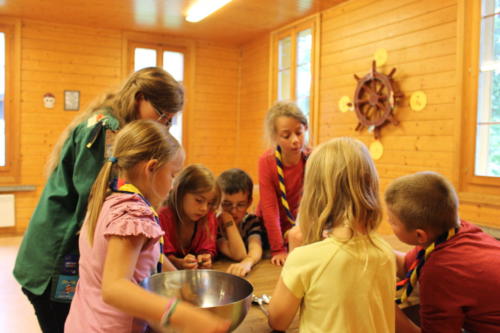 Camp louveteaux 2014