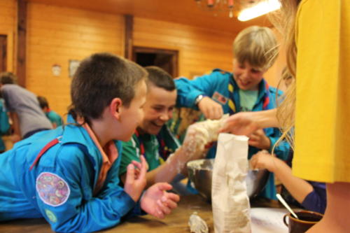 Camp louveteaux 2014