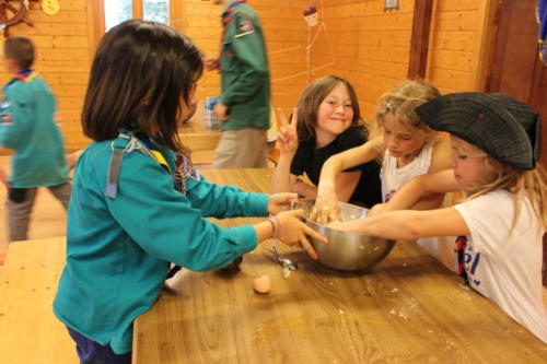 Camp louveteaux 2014