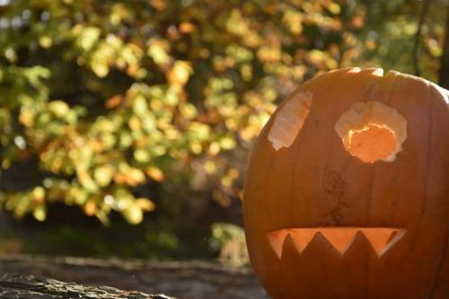 22861646 10155852531879294 5572067734330959129 o