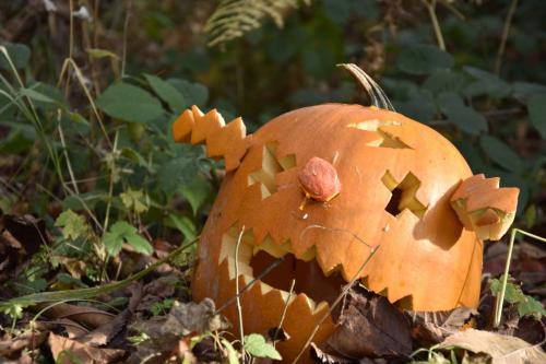 22904749 10155852531664294 572642880801802783 o