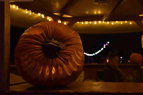 23116804 10155852532374294 4757902747899640708 o