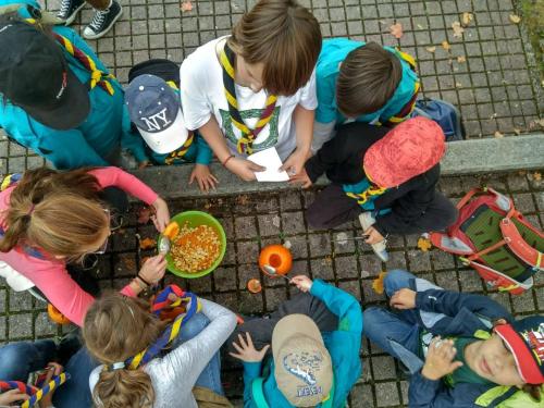 IMG 20191012 142109 HDR