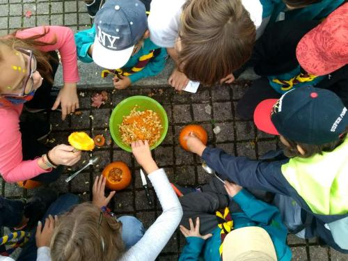 IMG 20191012 142133 HDR